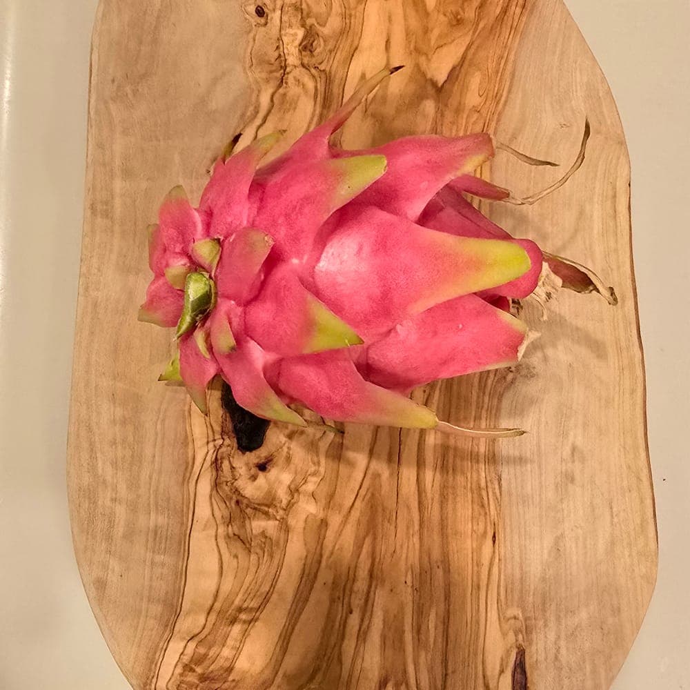 Bahamut Dragon Fruit Cutting