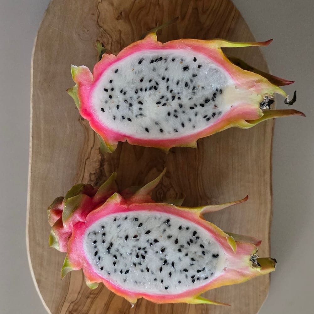 Desert Princess Dragon Fruit Cutting