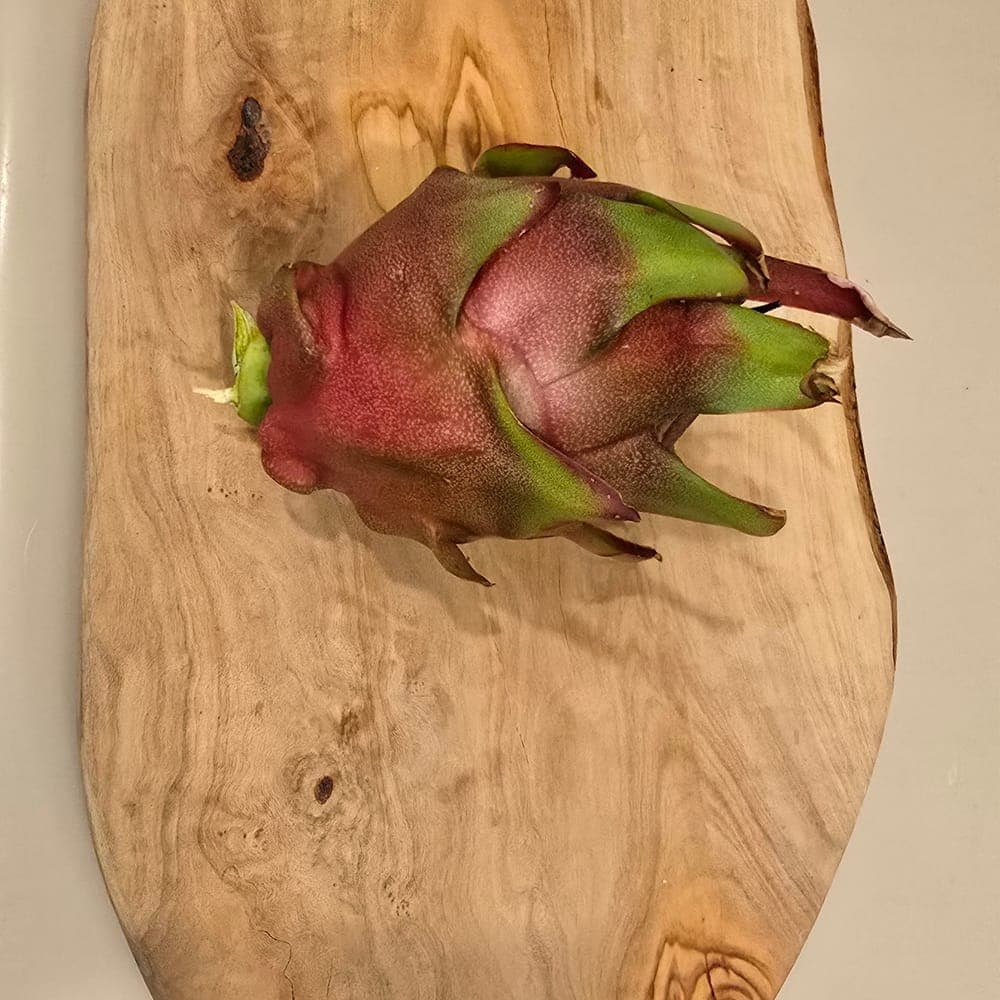 Jade Red Dragon Fruit Cutting