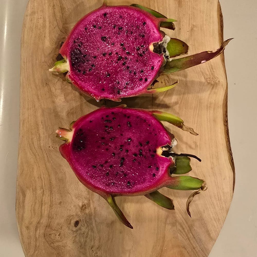 Jade Red Dragon Fruit Cutting
