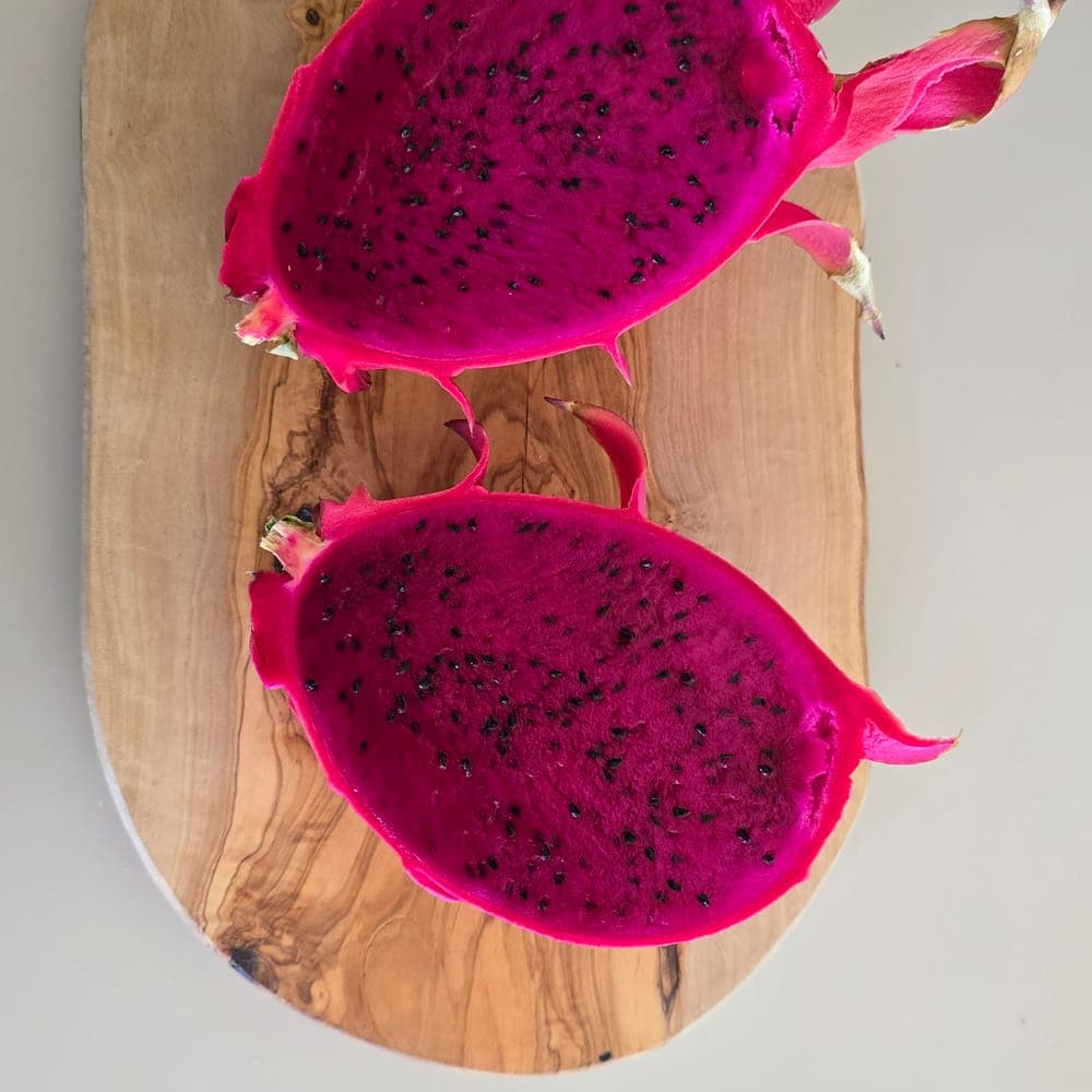 Purple Dawn Dragon Fruit Cutting