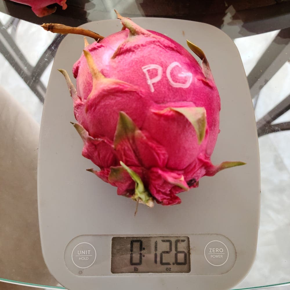 Physical Graffiti Dragon Fruit Cutting