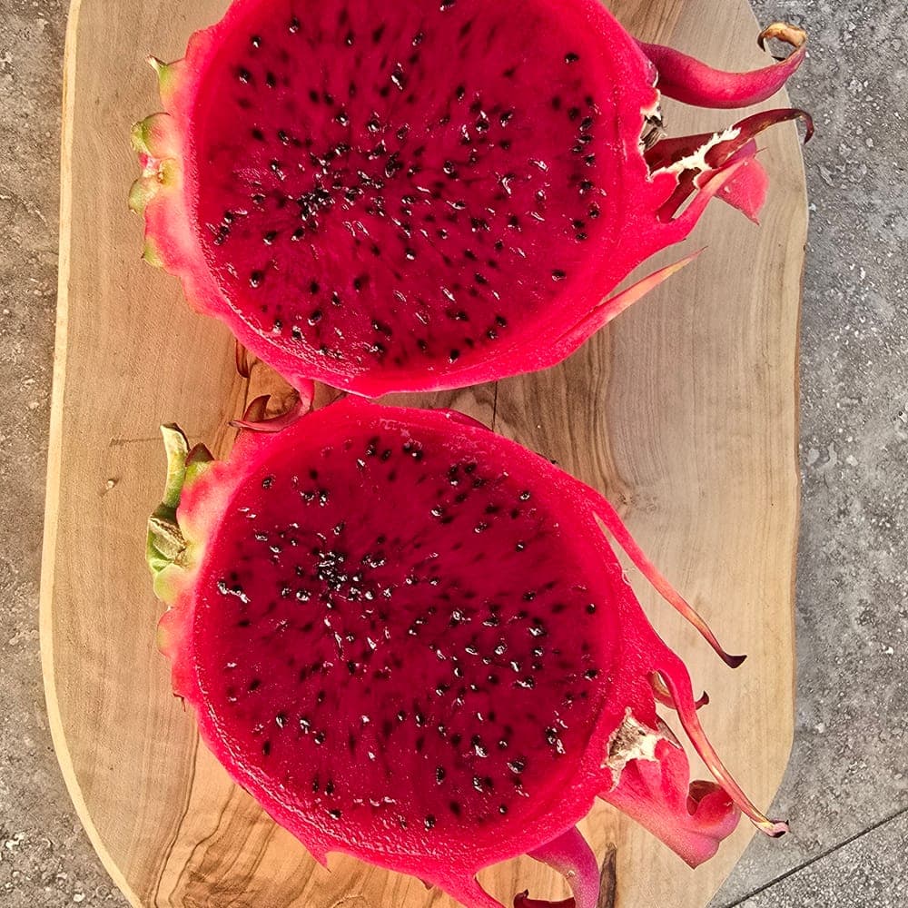 Rainbow Dragon Fruit Cutting