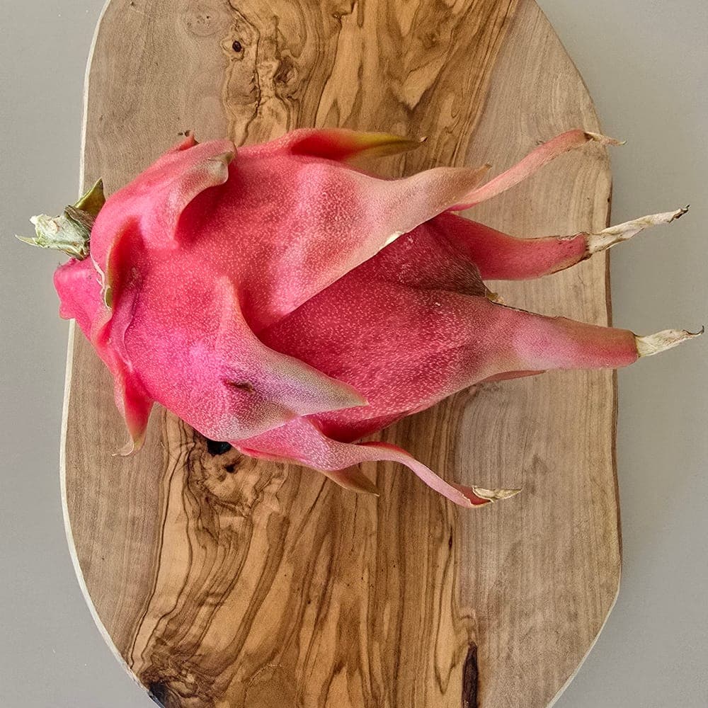 Santa Barbara Red Dragon Fruit Cutting