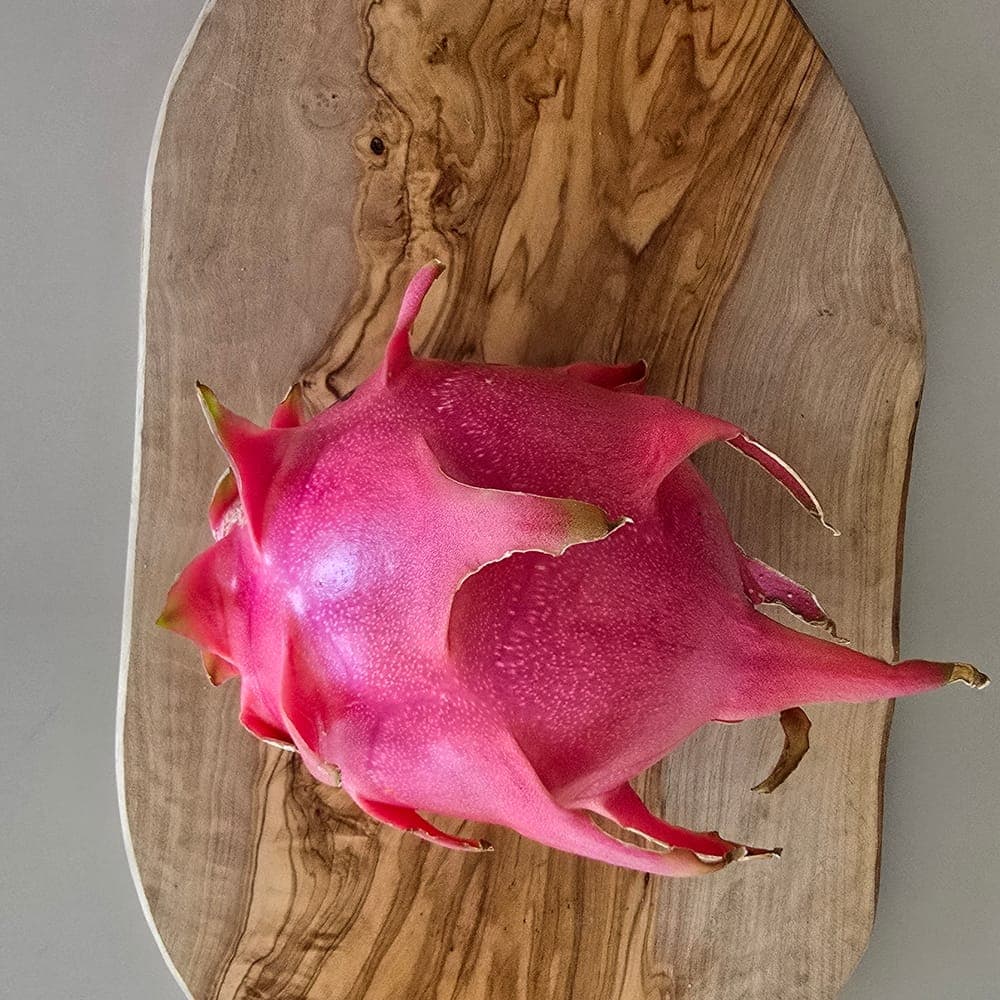 Townsend Pink Dragon Fruit Cutting
