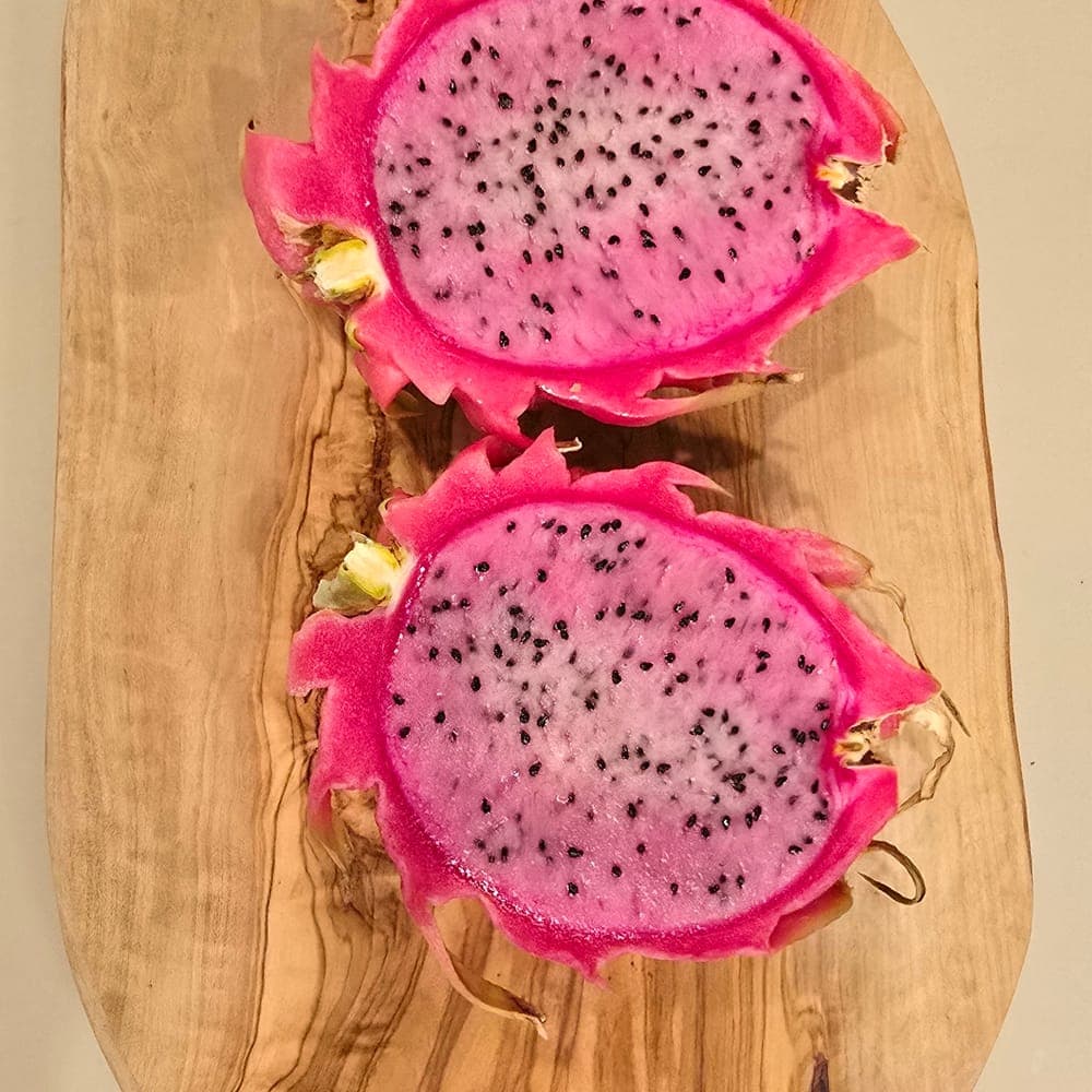 Bahamut Dragon Fruit Cutting