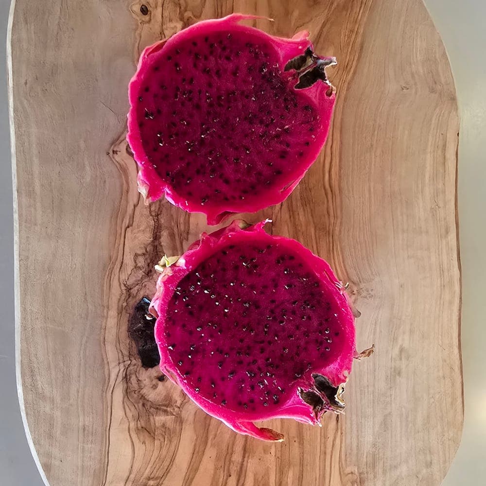 Red Rose Dragon Fruit Cutting