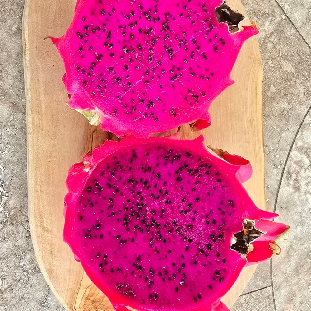 Robles Red Dragon Fruit Cutting