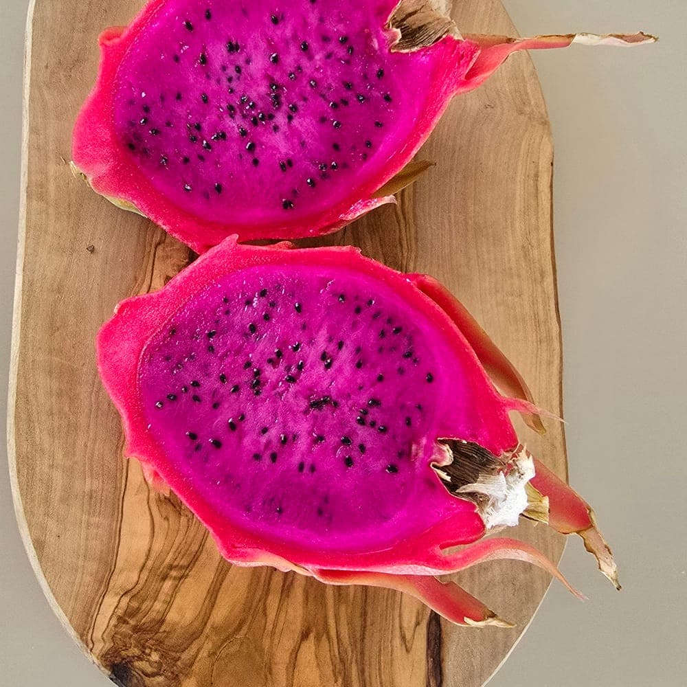 Santa Barbara Red Dragon Fruit Cutting