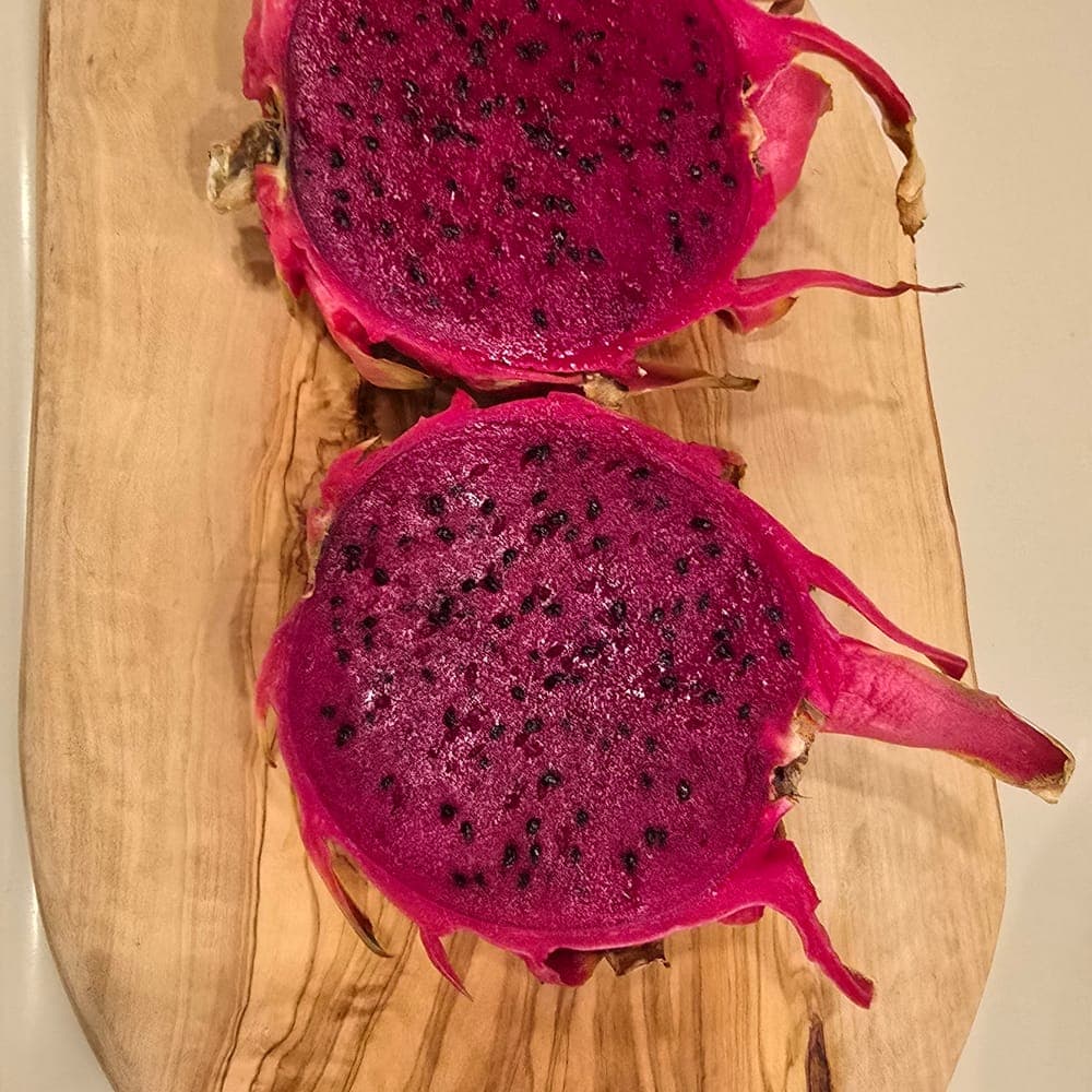 Sin Espinas Dragon Fruit Cutting