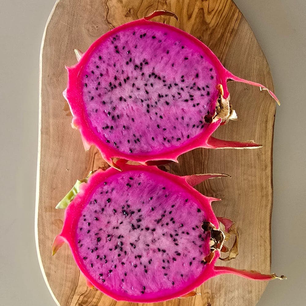 Townsend Pink Dragon Fruit Cutting